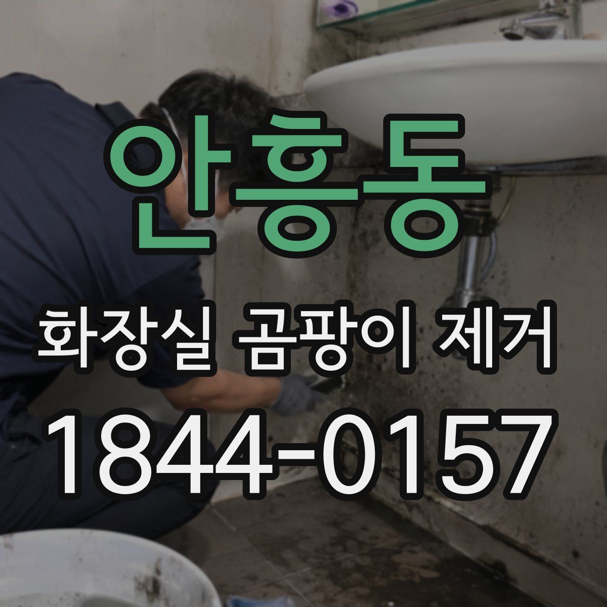 안흥동 화장실 곰팡이 제거