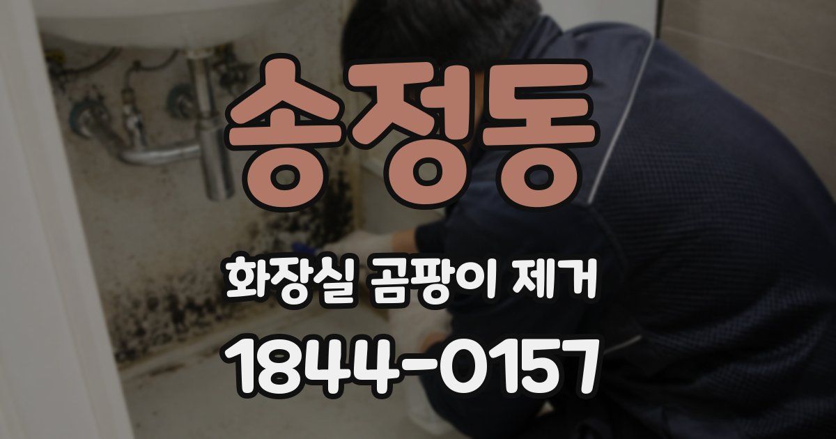 송정동 화장실 곰팡이 제거