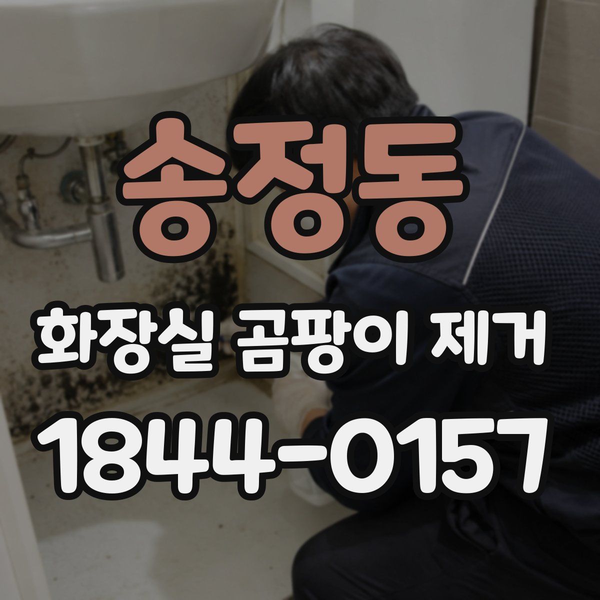 송정동 화장실 곰팡이 제거