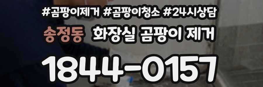 송정동 화장실 곰팡이 제거