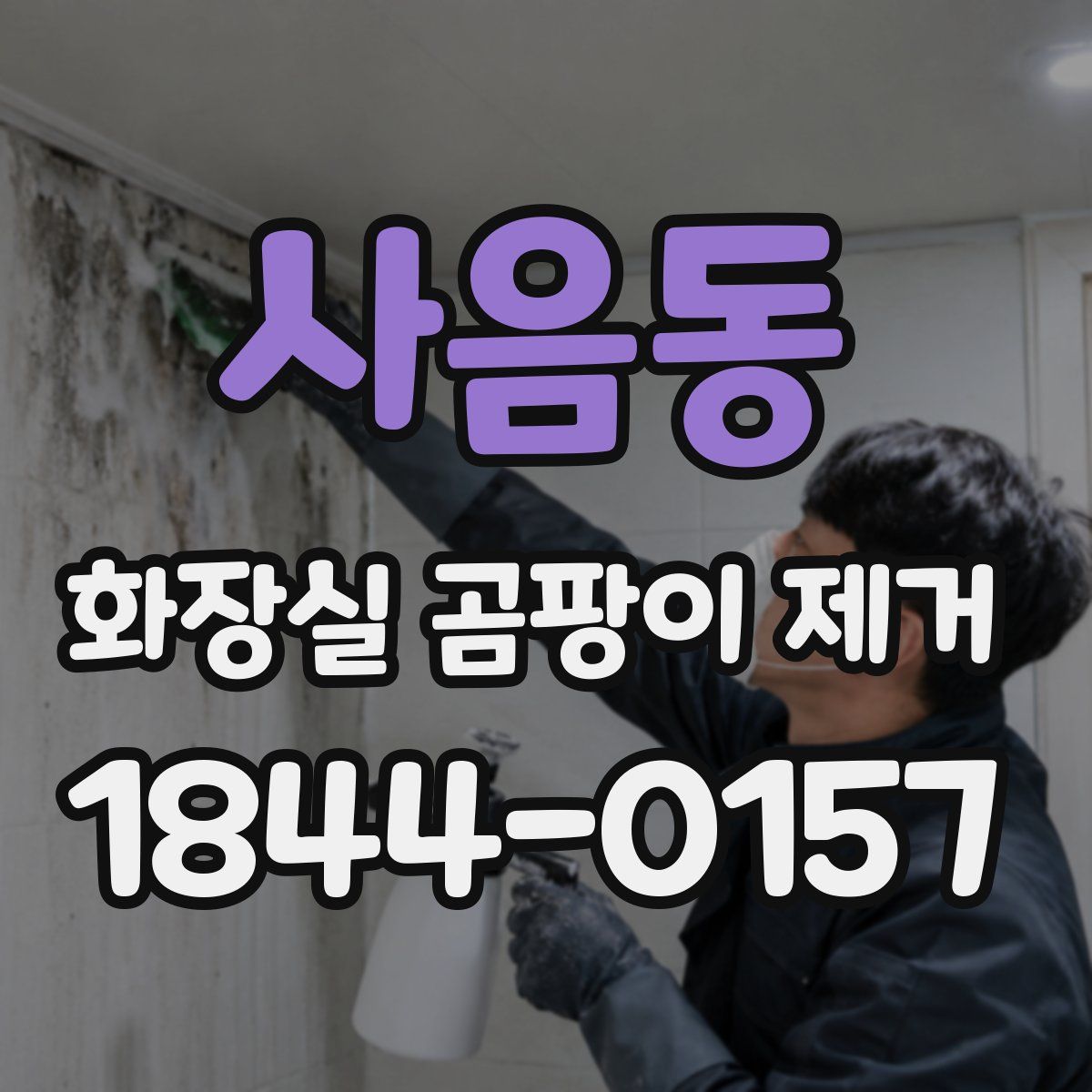 사음동 화장실 곰팡이 제거
