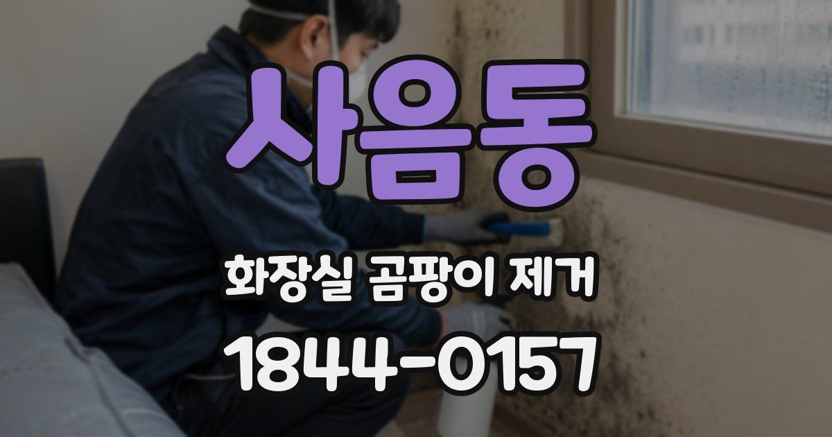 사음동 화장실 곰팡이 제거