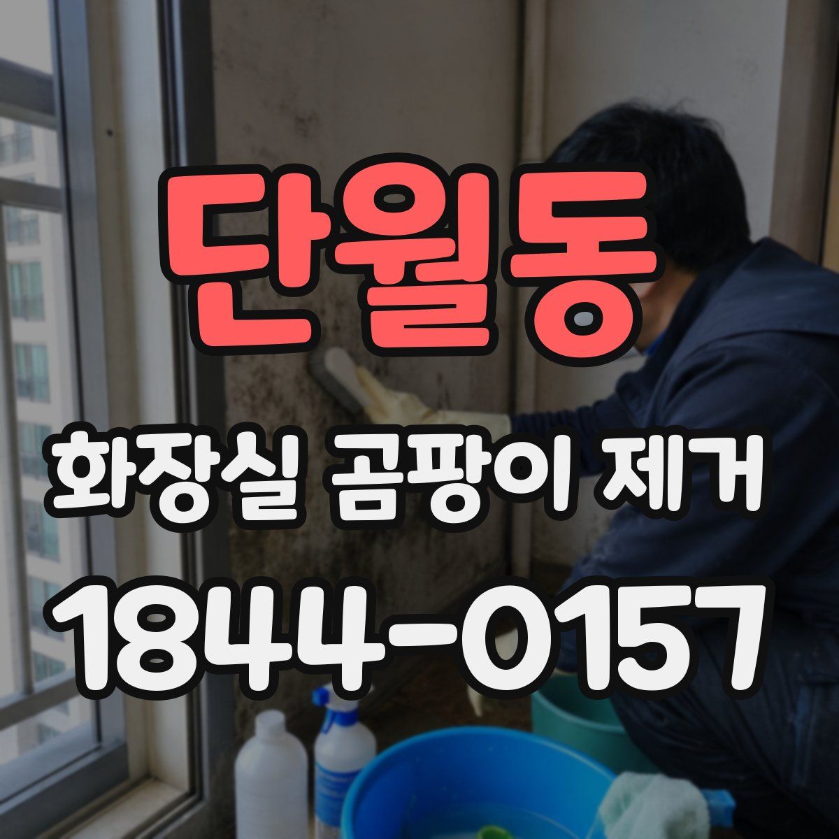 단월동 화장실 곰팡이 제거