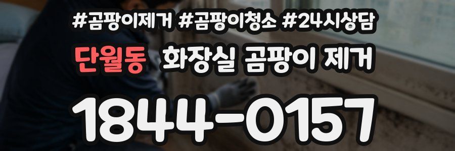 단월동 화장실 곰팡이 제거