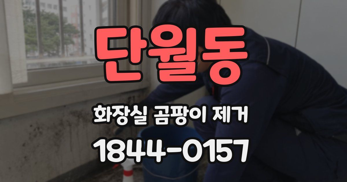 단월동 화장실 곰팡이 제거