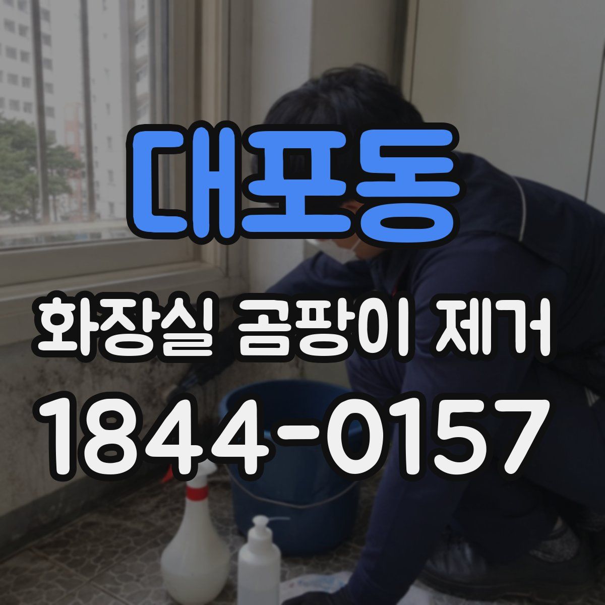 대포동 화장실 곰팡이 제거