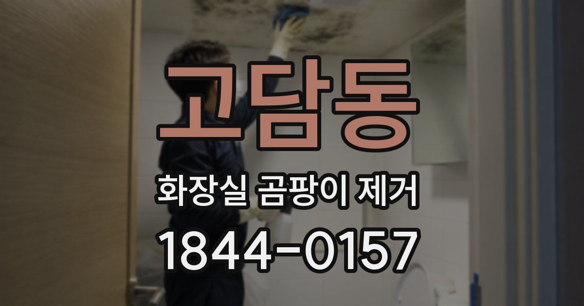 고담동 화장실 곰팡이 제거