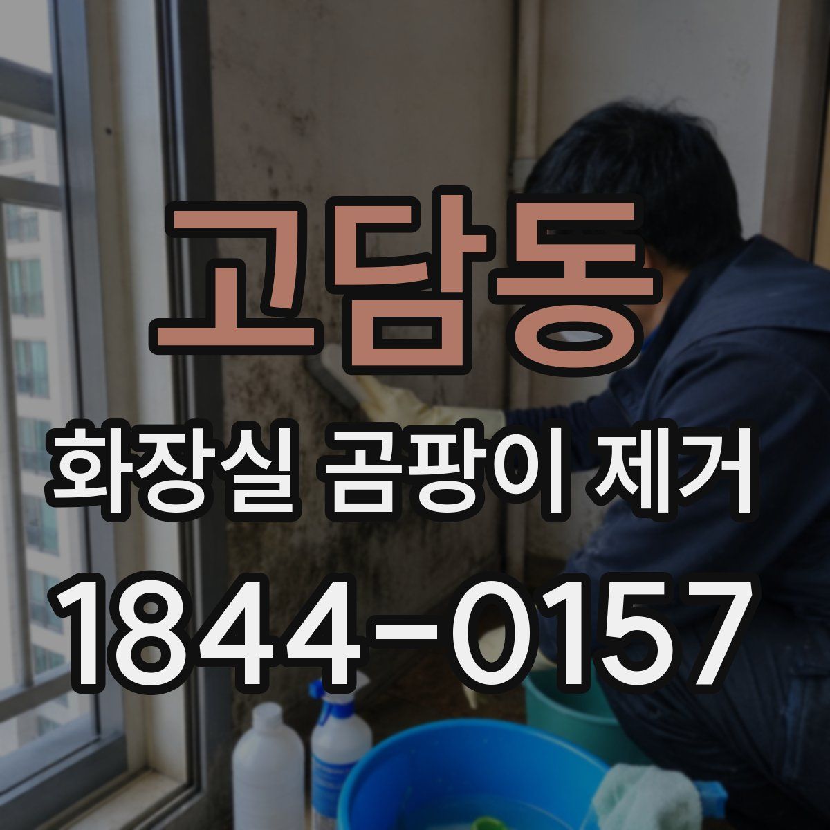 고담동 화장실 곰팡이 제거