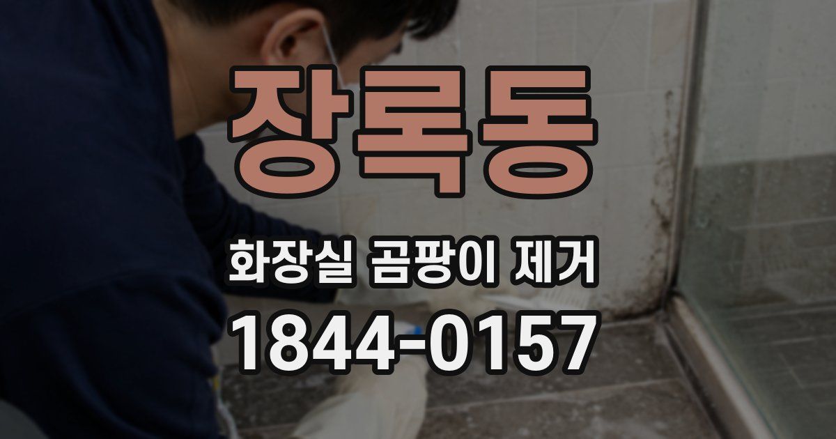 장록동 화장실 곰팡이 제거