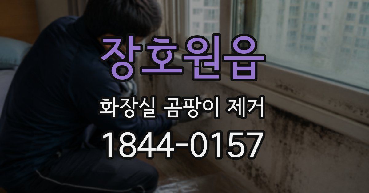 장호원읍 화장실 곰팡이 제거