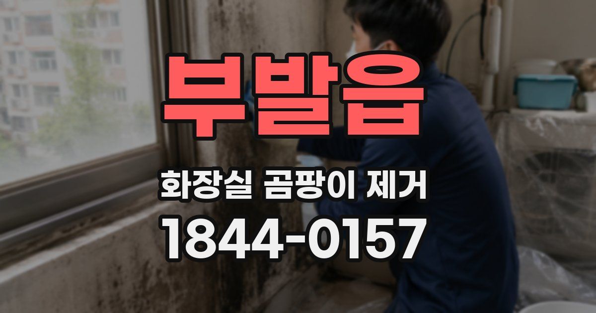 부발읍 화장실 곰팡이 제거