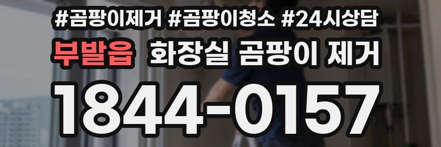 부발읍 화장실 곰팡이 제거
