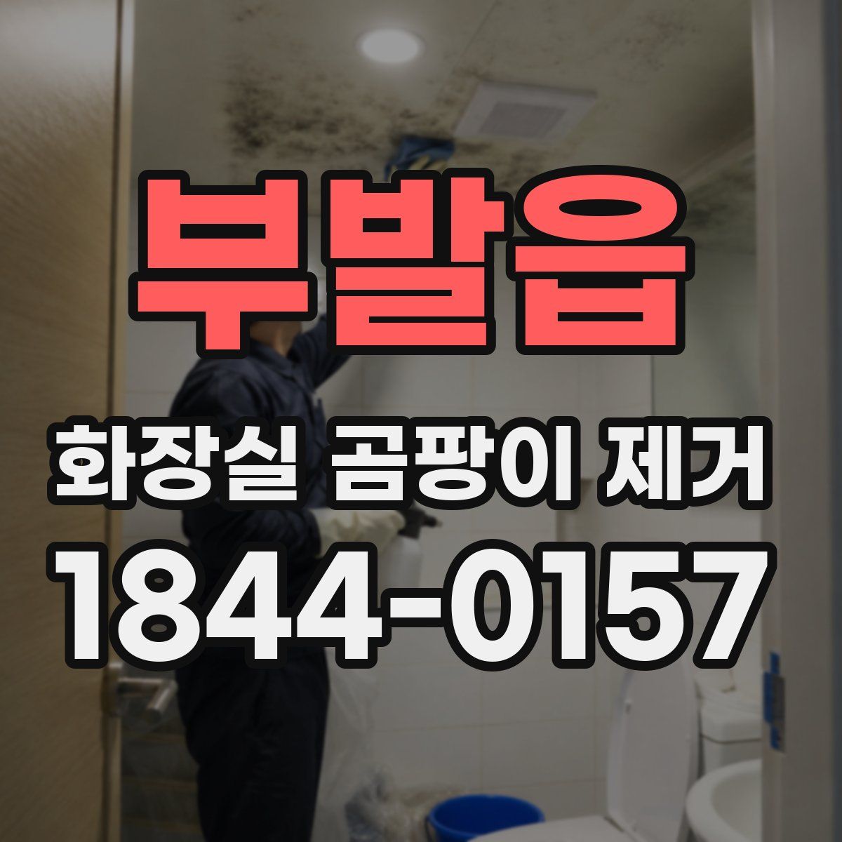 부발읍 화장실 곰팡이 제거