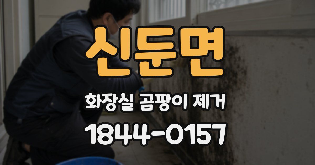 신둔면 화장실 곰팡이 제거