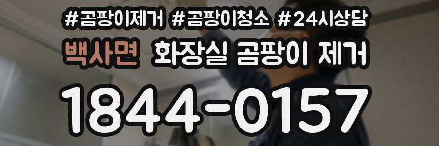 백사면 화장실 곰팡이 제거
