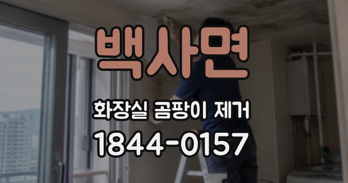 백사면 화장실 곰팡이 제거