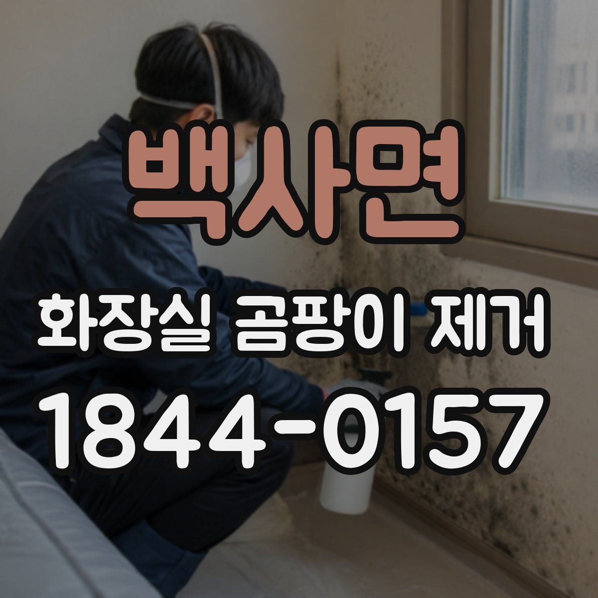 백사면 화장실 곰팡이 제거
