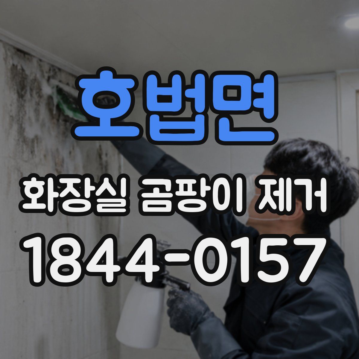 호법면 화장실 곰팡이 제거
