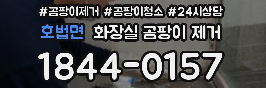 호법면 화장실 곰팡이 제거