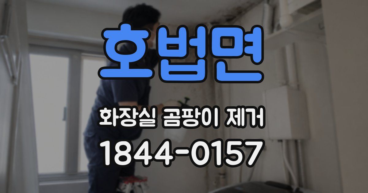 호법면 화장실 곰팡이 제거