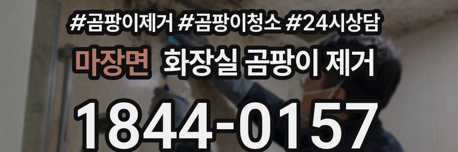 마장면 화장실 곰팡이 제거