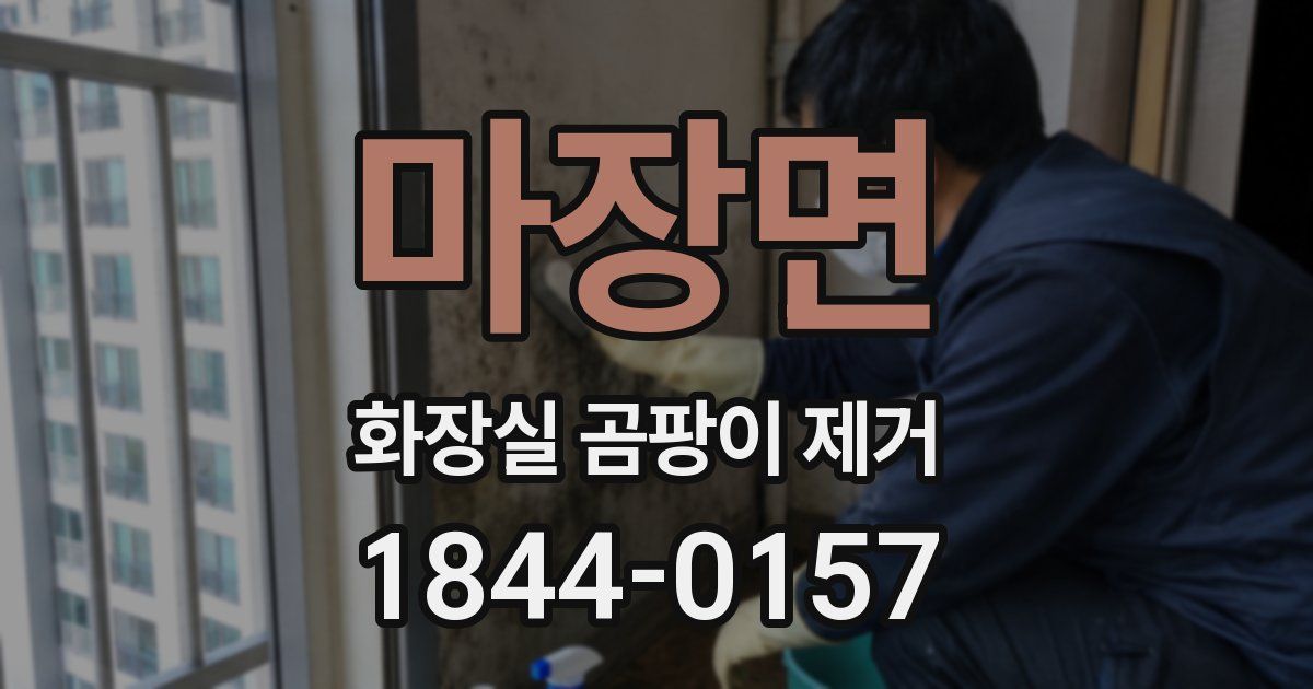 마장면 화장실 곰팡이 제거