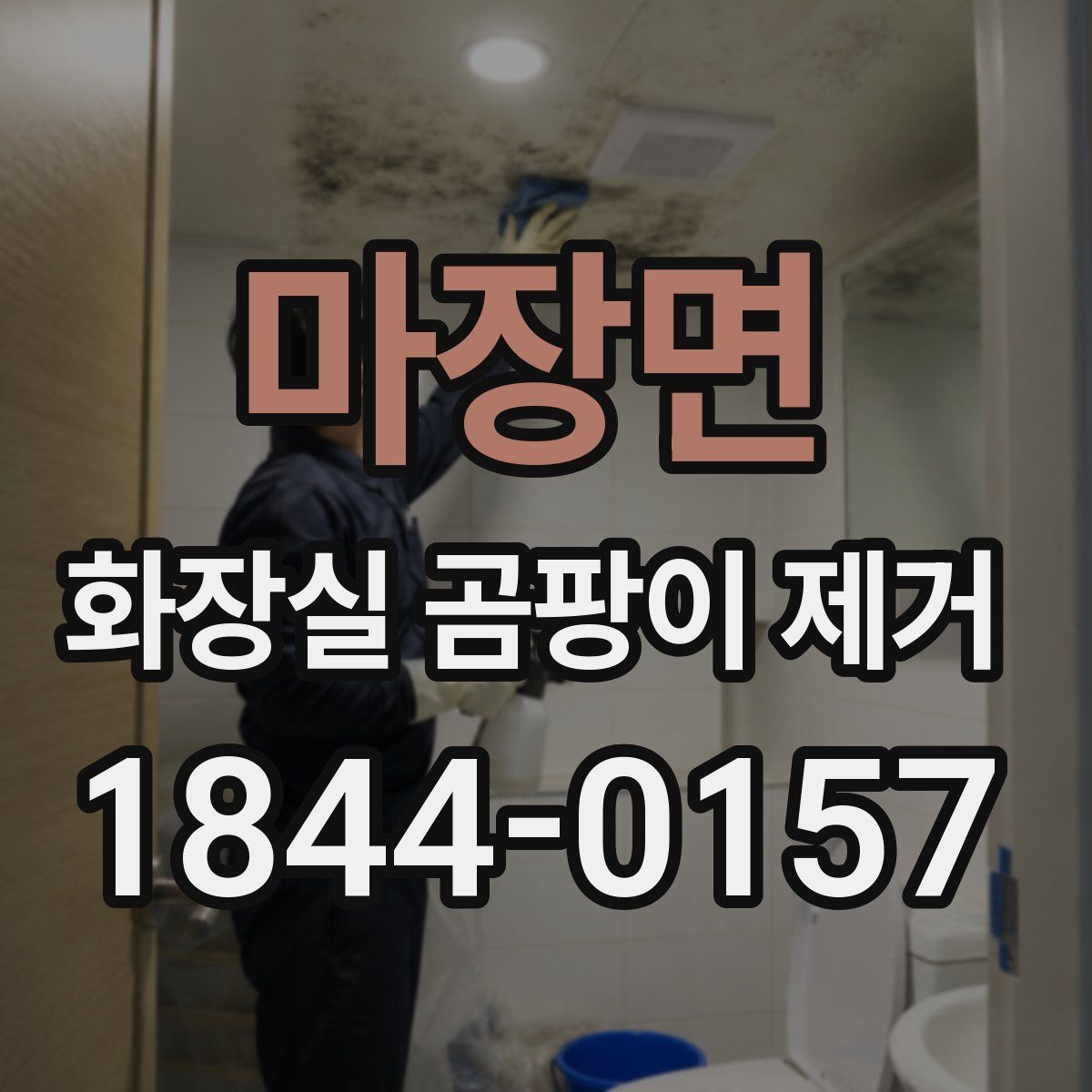마장면 화장실 곰팡이 제거