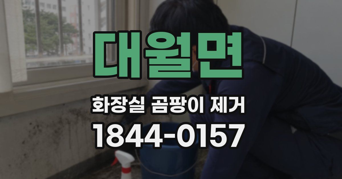 대월면 화장실 곰팡이 제거