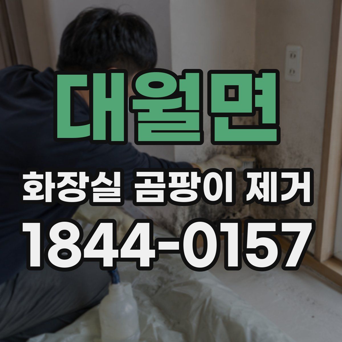 대월면 화장실 곰팡이 제거