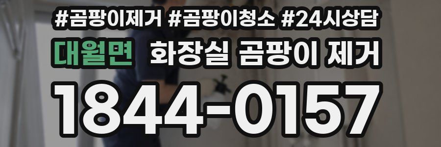 대월면 화장실 곰팡이 제거