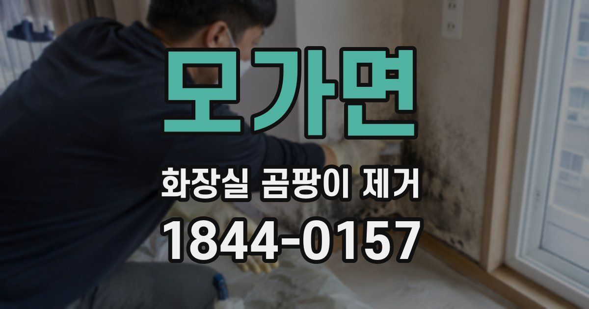 모가면 화장실 곰팡이 제거