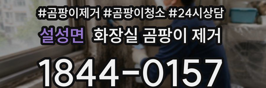 설성면 화장실 곰팡이 제거