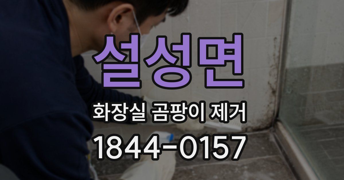 설성면 화장실 곰팡이 제거