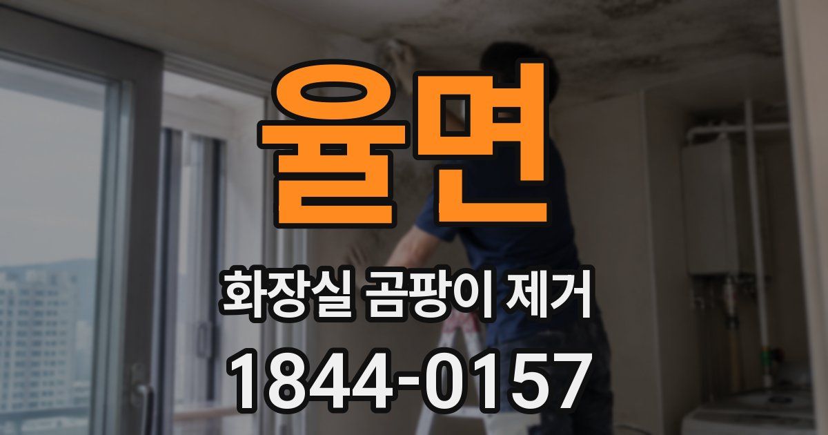 율면 화장실 곰팡이 제거