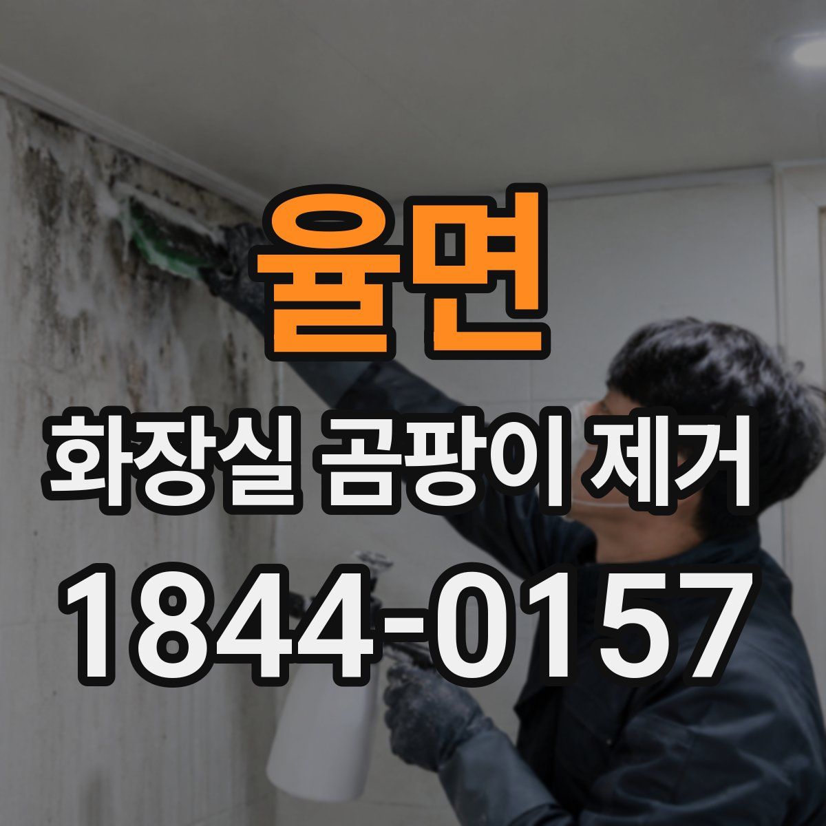 율면 화장실 곰팡이 제거