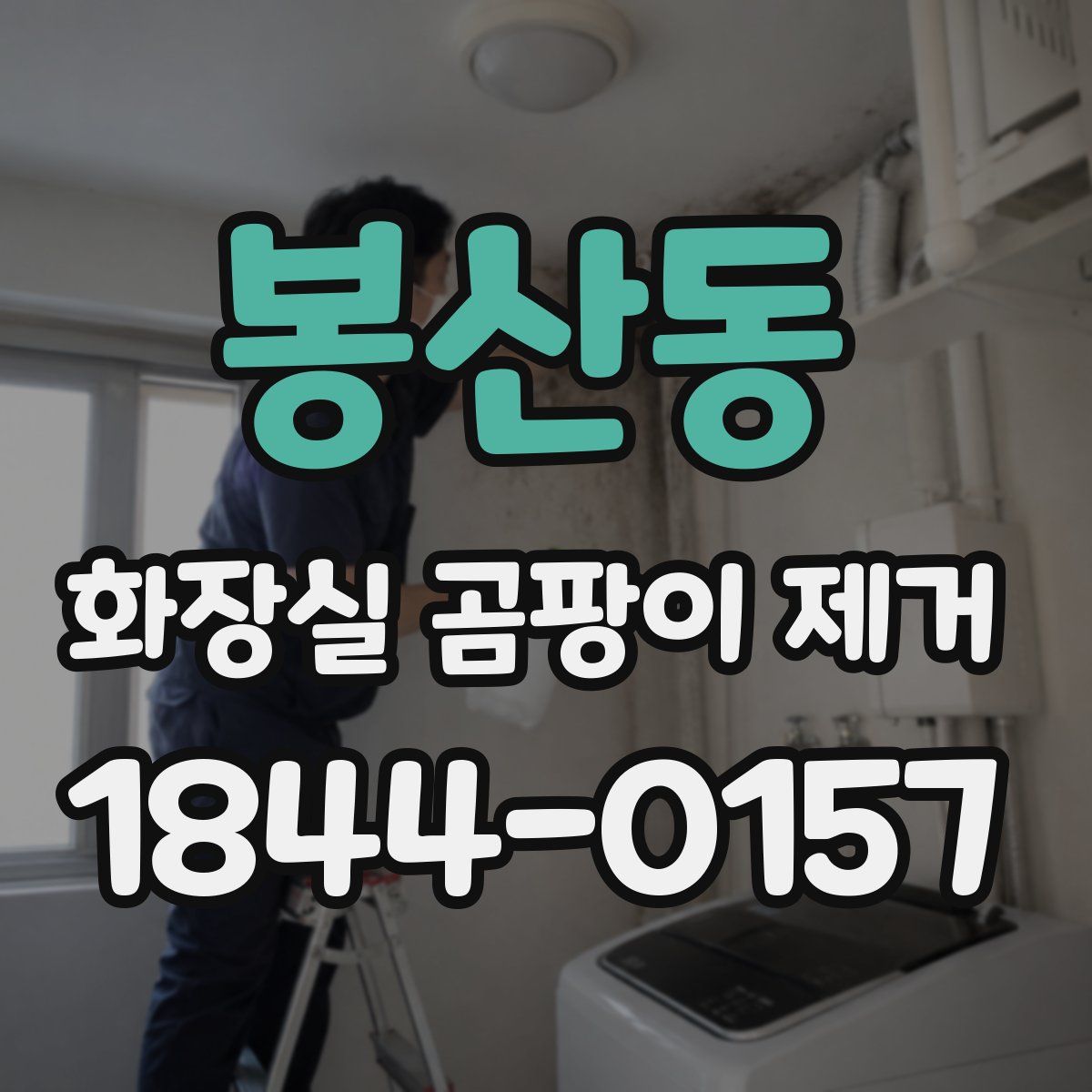 봉산동 화장실 곰팡이 제거