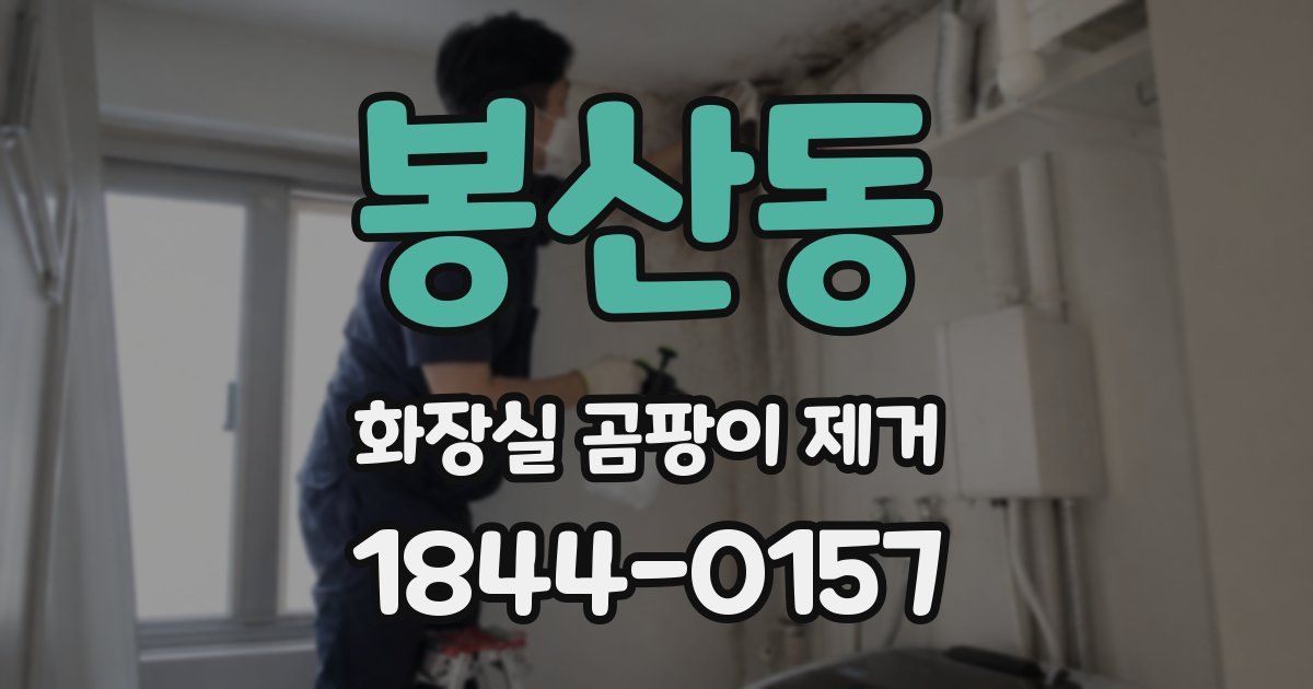 봉산동 화장실 곰팡이 제거