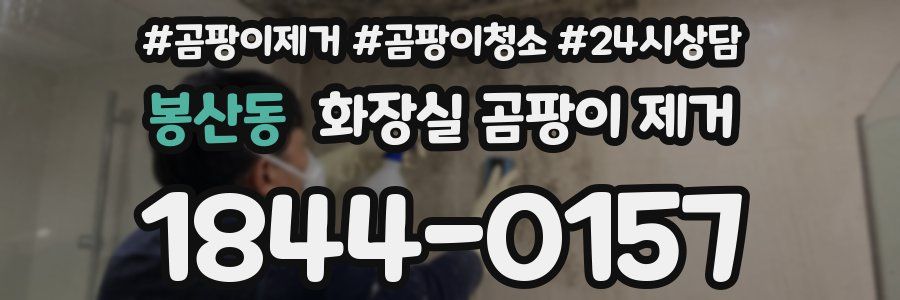 봉산동 화장실 곰팡이 제거