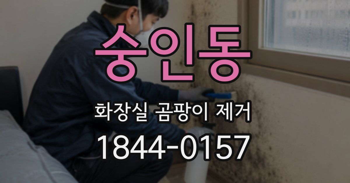 숭인동 화장실 곰팡이 제거