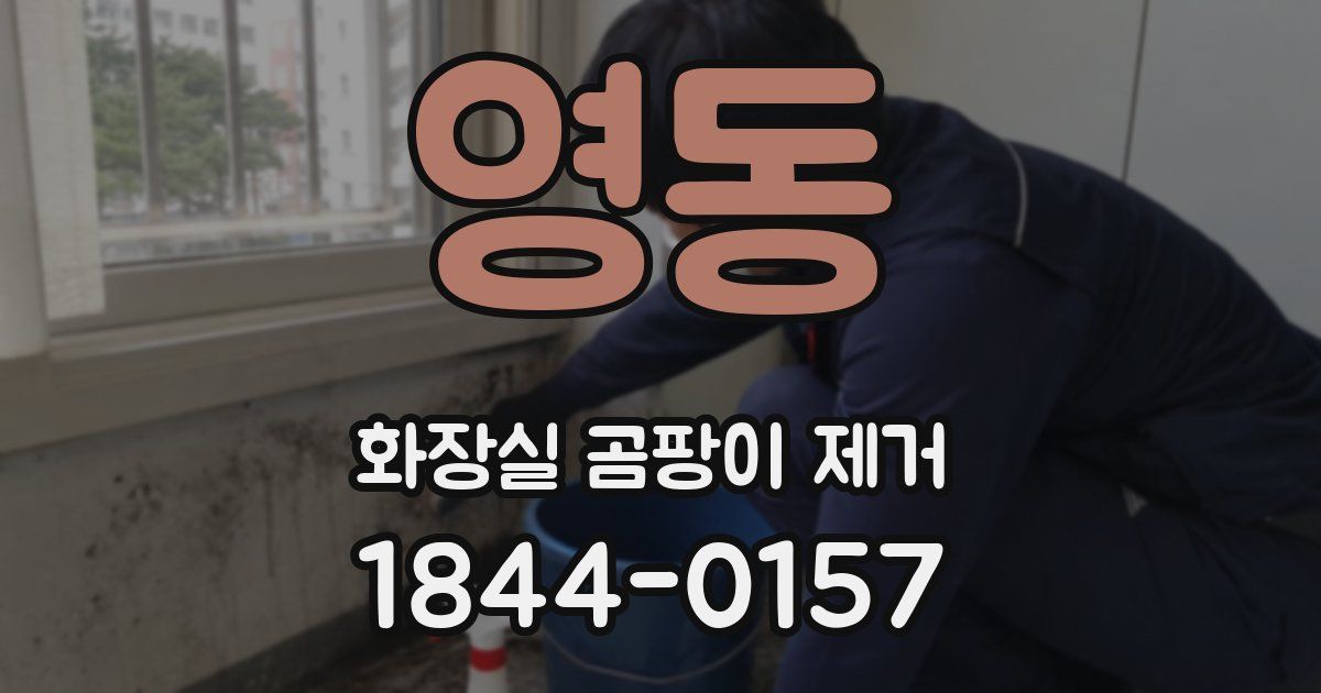영동 화장실 곰팡이 제거