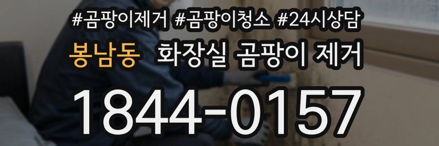 봉남동 화장실 곰팡이 제거