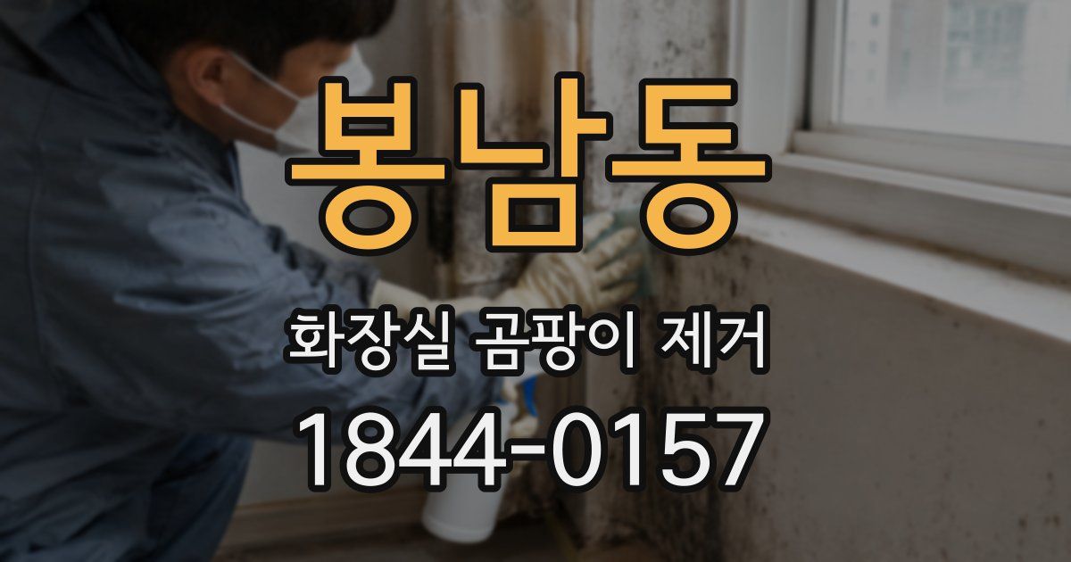 봉남동 화장실 곰팡이 제거