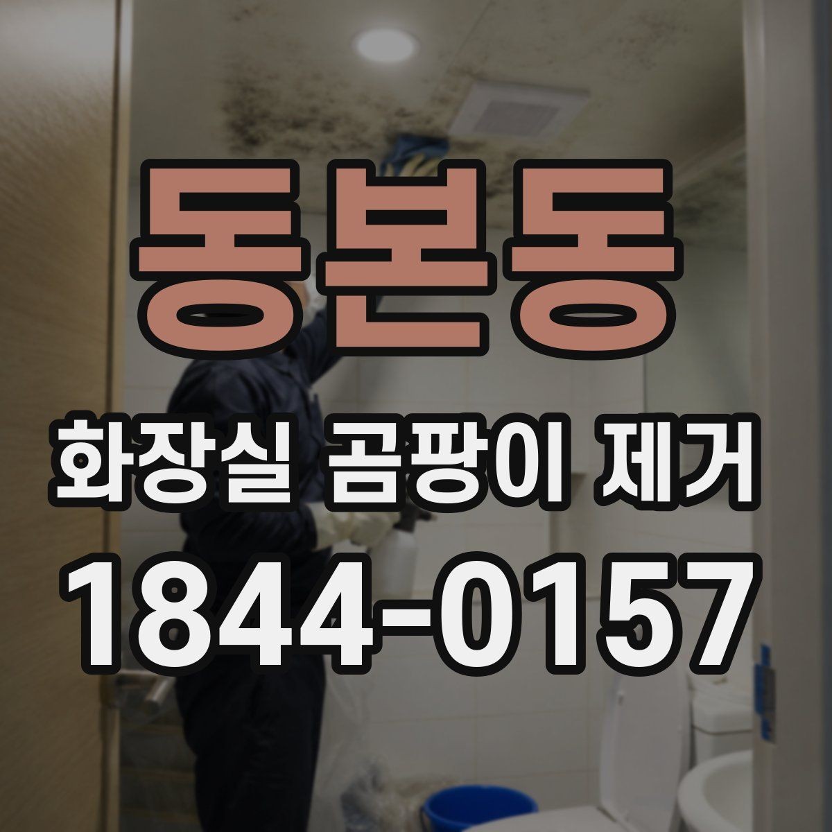 동본동 화장실 곰팡이 제거 후에도 냄새가 남는 화장실 점검법