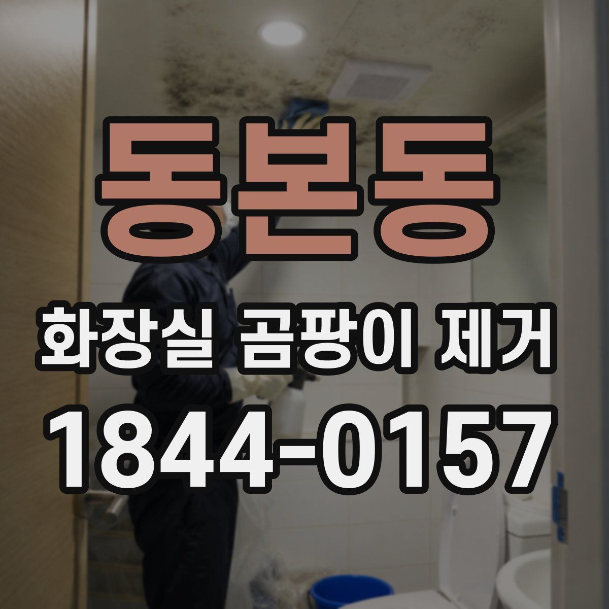 동본동 화장실 곰팡이 제거