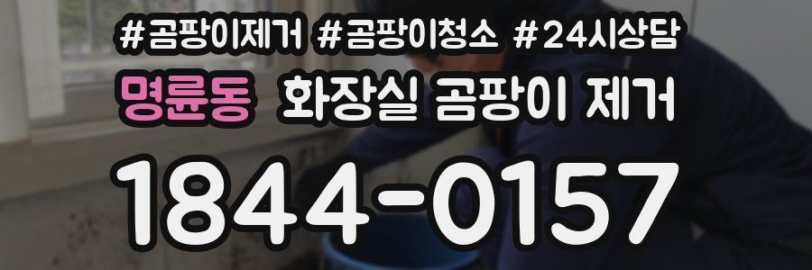 명륜동 화장실 곰팡이 제거