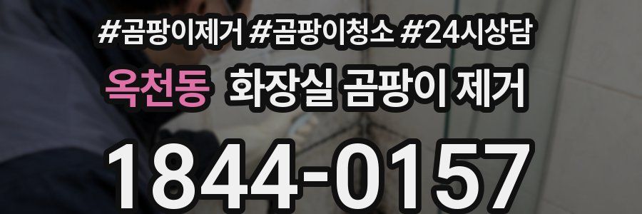 옥천동 화장실 곰팡이 제거