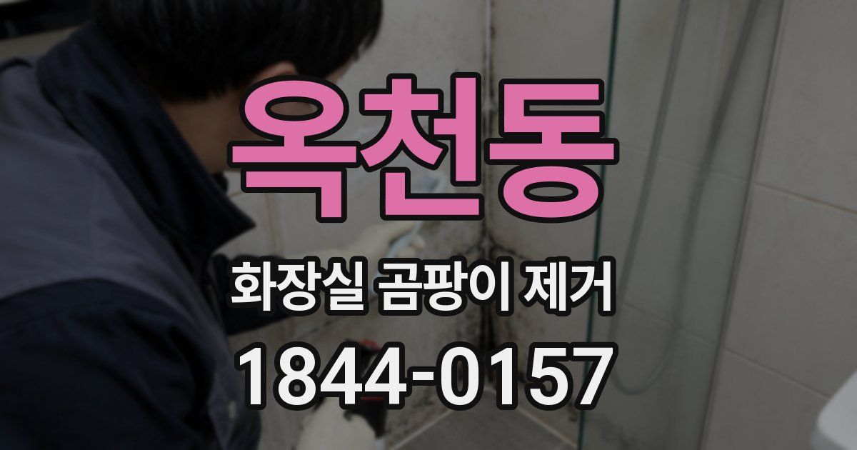 옥천동 화장실 곰팡이 제거