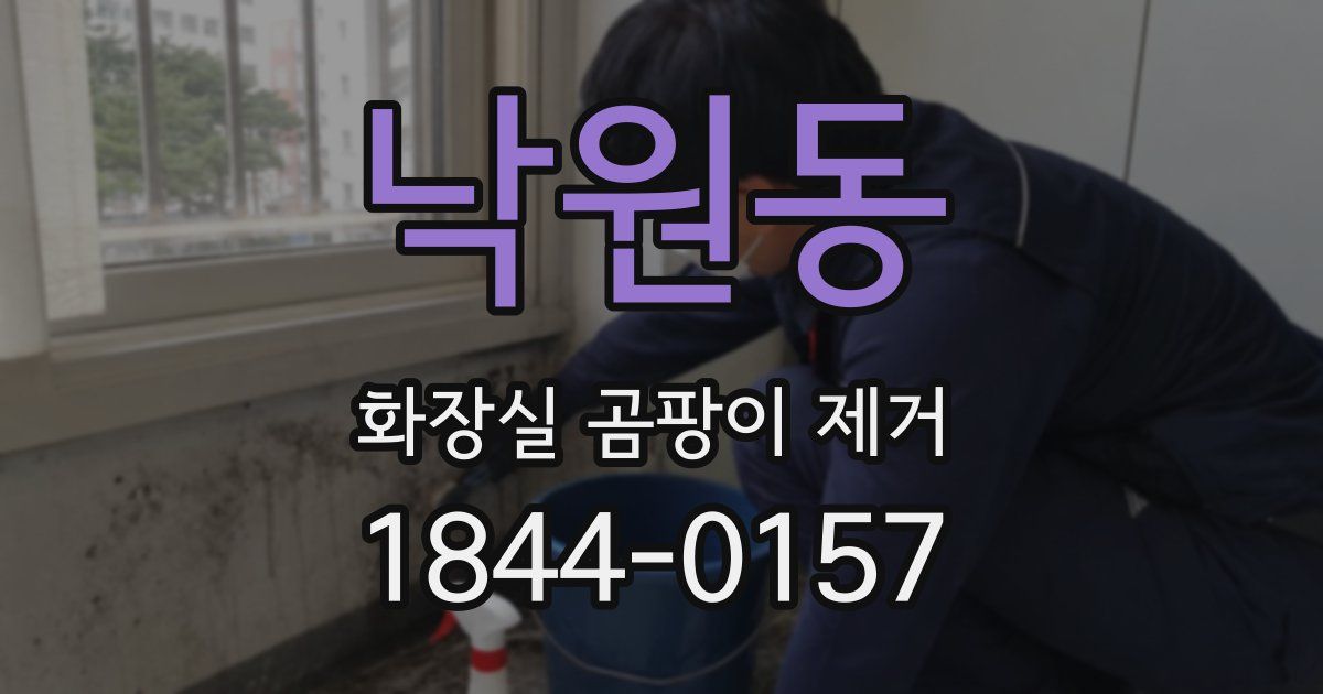 낙원동 화장실 곰팡이 제거