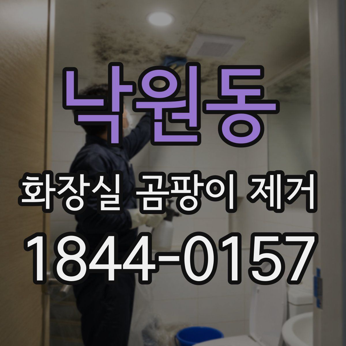낙원동 화장실 곰팡이 제거
