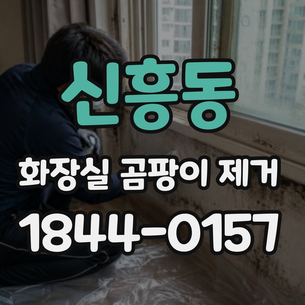 신흥동 화장실 곰팡이 제거